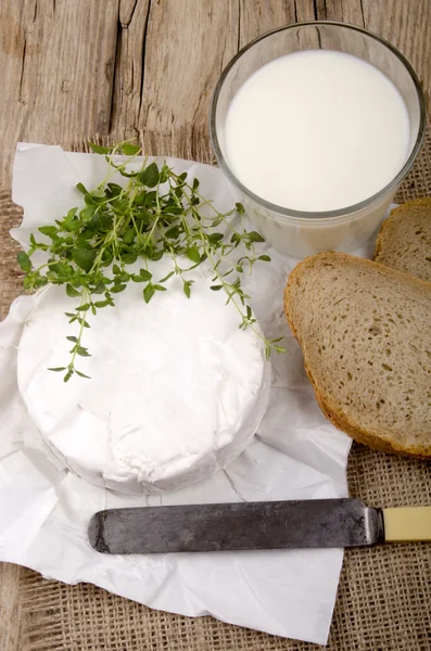 French brie camembert with thyme — Stock Photo, Image