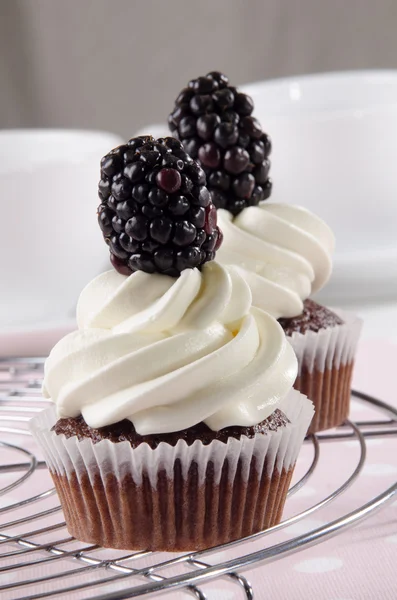 Chocolate cupcake with one blackberry — Stock Photo, Image