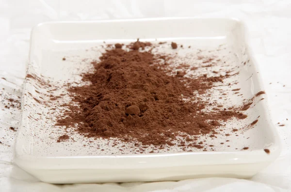 Cocoa powder on a plate — Stock Photo, Image