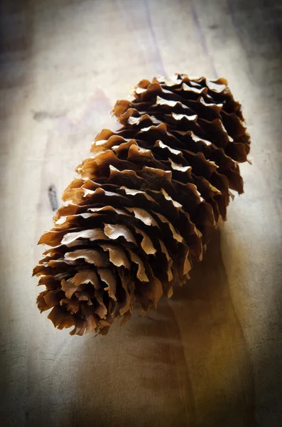 Pinecone on an old wooden table — Stock Photo, Image
