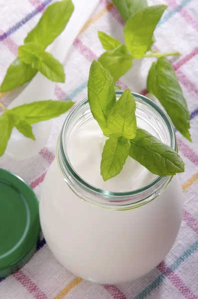 Hausgemachter Bio-Joghurt im Glas — Stockfoto