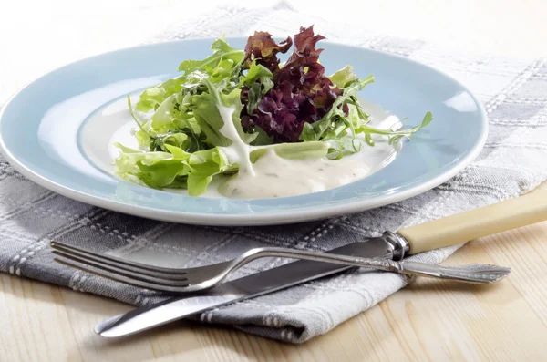 Verse salade met yoghurt dressing — Stockfoto