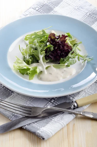 Salat mit Joghurt-Dressing auf einem Teller — Stockfoto