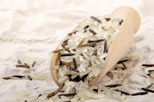 Divoká rýže na dřevěnou lopatku — Stock fotografie