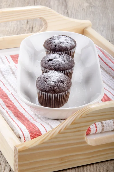 Chocolate cupcake with powdered sugar — Stock Photo, Image