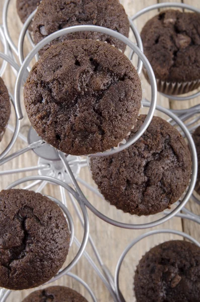 Čerstvě upečený dvojitý čokoládový muffin — Stock fotografie