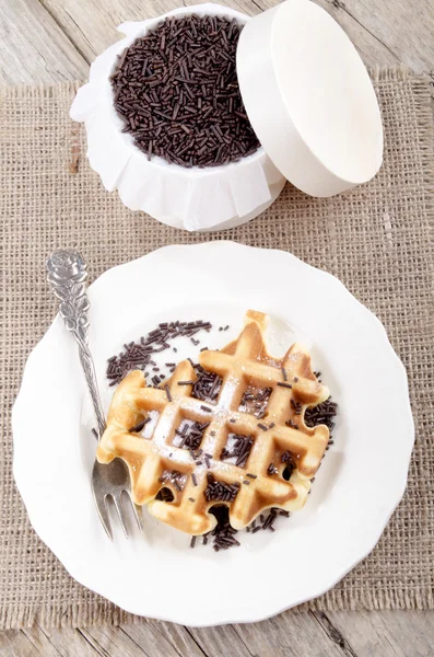 Waffle with powdered sugar on a plate — Stock Photo, Image