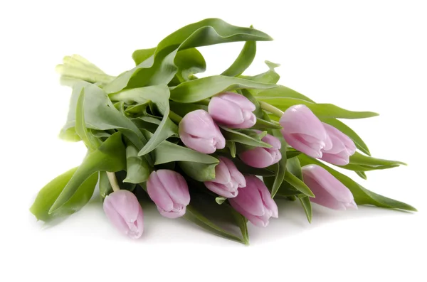 Pink tulips as mother's day gift — Stock Photo, Image