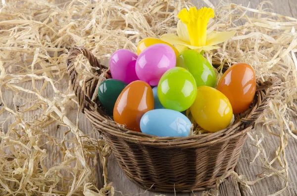 Húsvéti tojás, és egy kosár nárcisz — Stock Fotó