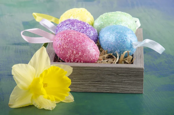 Huevos de Pascua y un narciso — Foto de Stock
