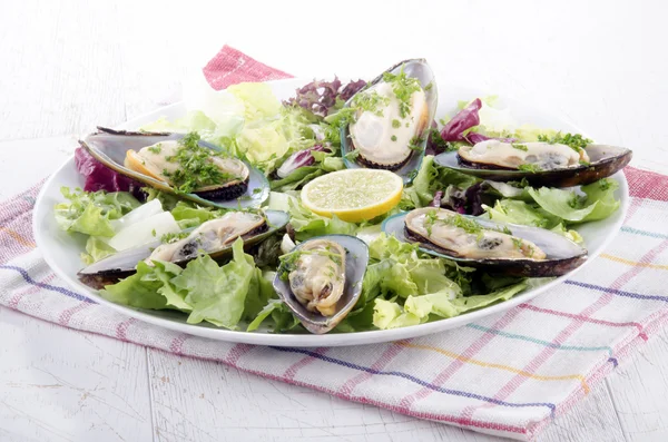 Green lipped mussels from new zealand — Stock Photo, Image