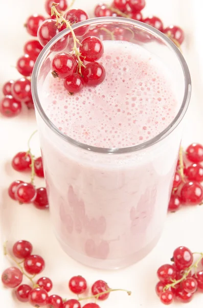Milkshake with organic red currants — Stock Photo, Image