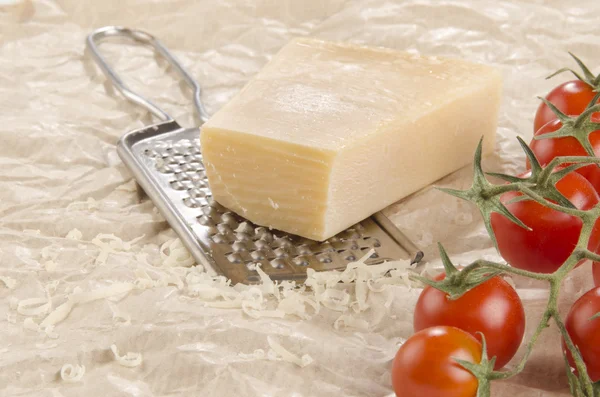 Mozarella and grater on paper — Stockfoto