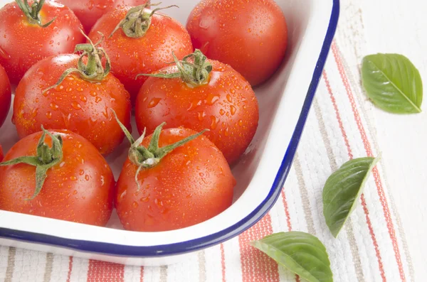Tomates recém-lavados em uma tigela de esmalte — Fotografia de Stock