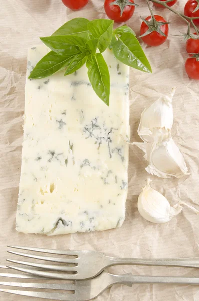 Gorgonzola cheese on kitchen paper — Stock Photo, Image