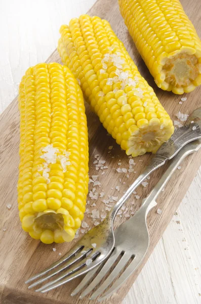 Boiled corn cobs with coarse salt — Stock Photo, Image