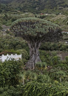 ilişkin 2010 ilişkin 2010