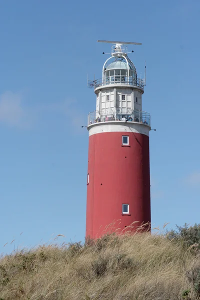 Texel - 2009 — Stock fotografie