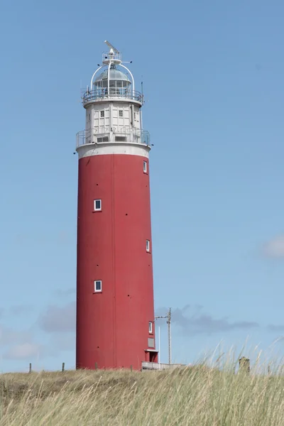 Texel - 2009 Texel-2009