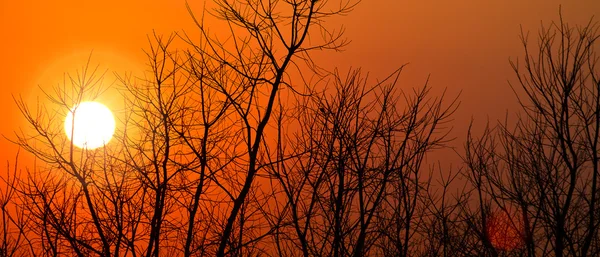 Sunrise in Africa — Stock Photo, Image