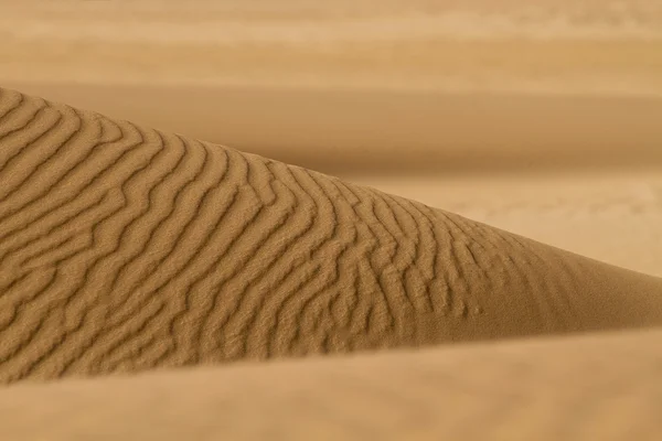 Sand Dunes — Stock Photo, Image