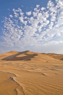 Namib Çölü dunes Namibya