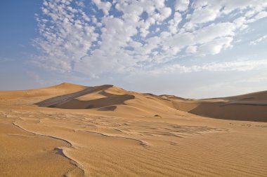 Namib Çölü dunes, Namibya