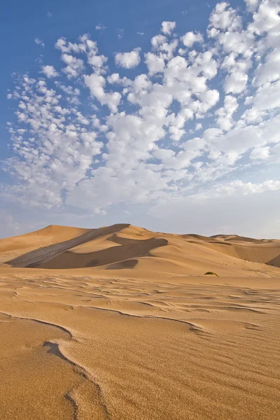 Wydmy pustyni Namib Namibii — Zdjęcie stockowe