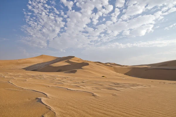 Namib woestijn duinen, Namibië — Stockfoto