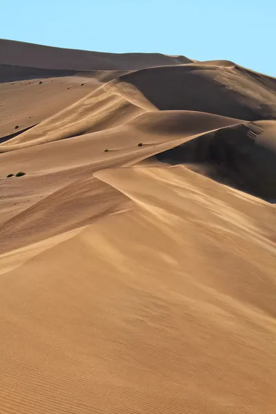 Namib deserto — Foto Stock