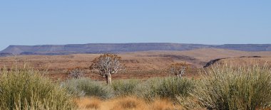 Balık Nehri Kanyonu, Namibya