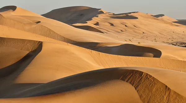 Namib Wüstensanddünen Stockbild