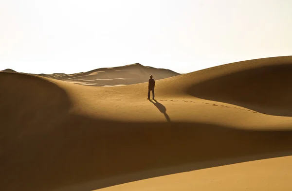 Desert Solitude — Stock Photo, Image