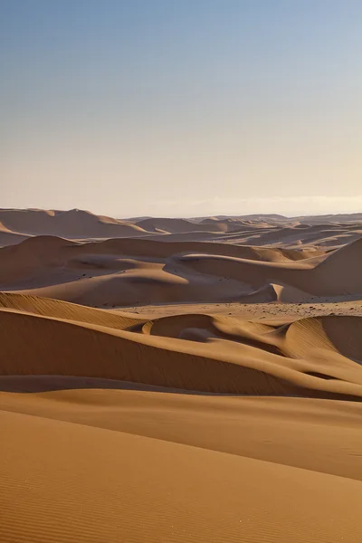 Valle del desierto — Foto de Stock