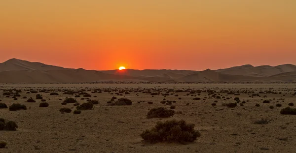 Désert Coucher de soleil — Photo