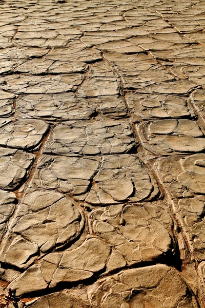 Dry clay pan in the Namib Desert — Stock Photo, Image