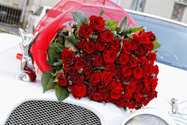 Bukiet czerwonych róż Zdjęcie Stockowe