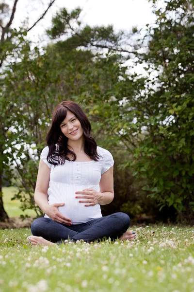 Attractive Pregnant Woman Outdoors Stock Image
