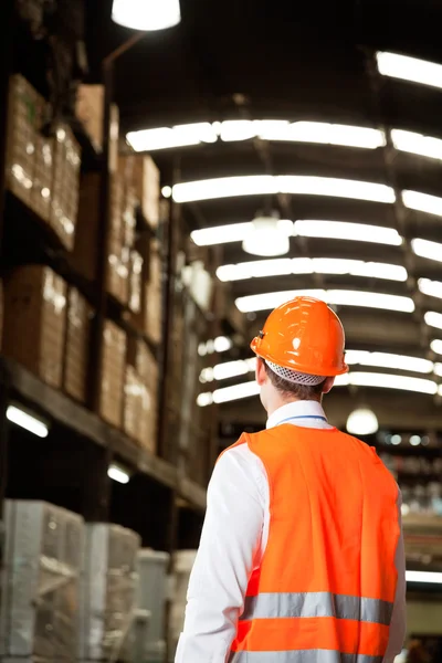 Vista trasera del supervisor masculino en el almacén —  Fotos de Stock