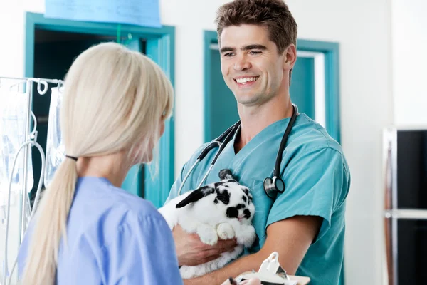 Veterinarian Doctor With Rabbit Looking At Female Nurse — Stock Photo, Image