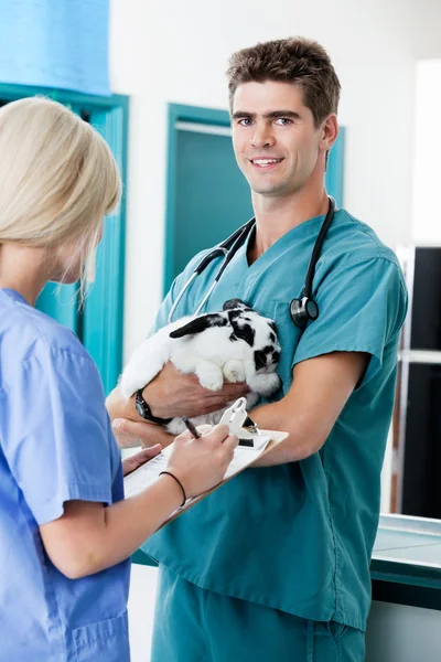 Veterinarian Doctor With Rabbit — Stock Photo, Image