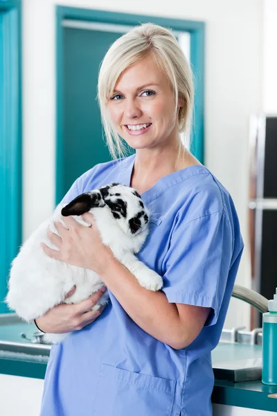 Female Veterinarian Doctor With Rabbit — Stock Photo, Image