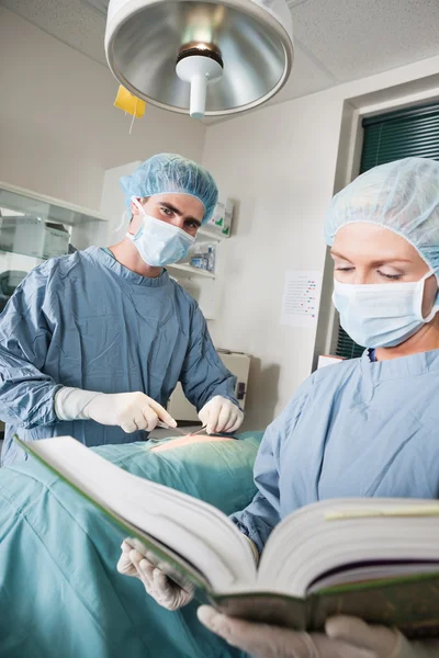 Médecin vétérinaire opérant avec assistant féminin se référant à — Photo