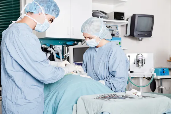 Veterinär läkare och kvinnliga assistenten utför en operation — Stockfoto