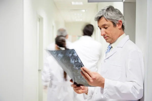 Radiologista Revisão de raios-X — Fotografia de Stock