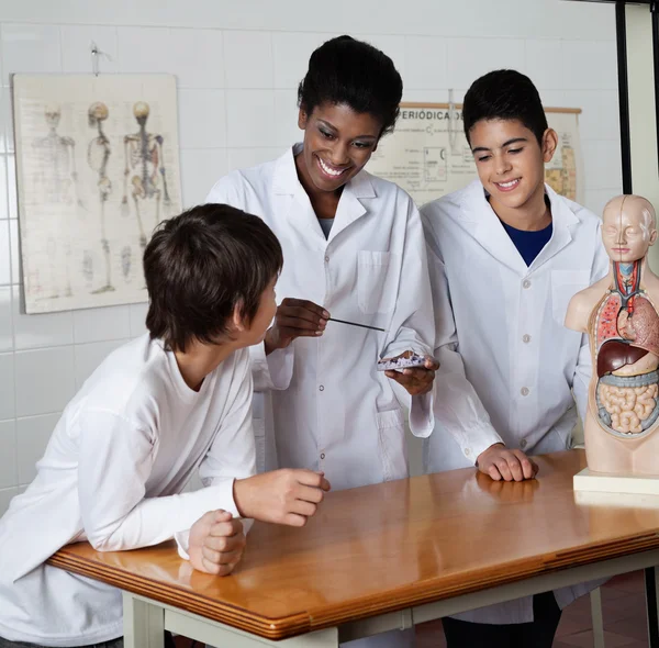 Experiência de Ensino de Professores para Estudantes do Ensino Médio — Fotografia de Stock