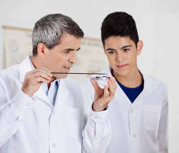 Leraar lesgeven experiment aan studenten — Stockfoto