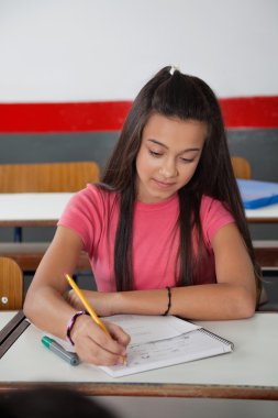 High School Student Writing In Book At Desk