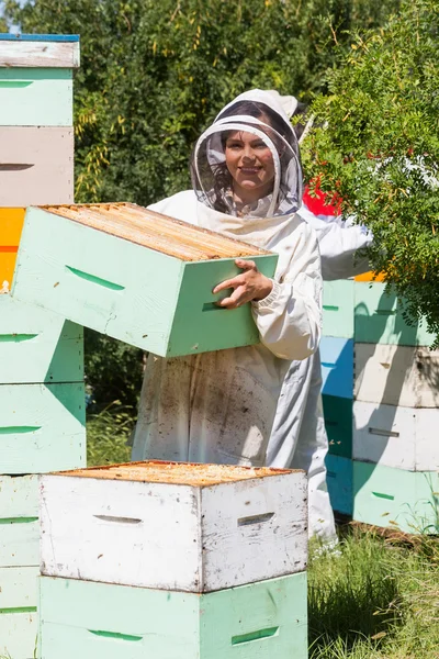 Portrait de l'apiculteur travaillant à l'apiculture — Photo