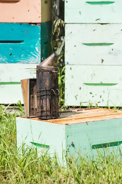 Пчелокурящий на пасеке — стоковое фото
